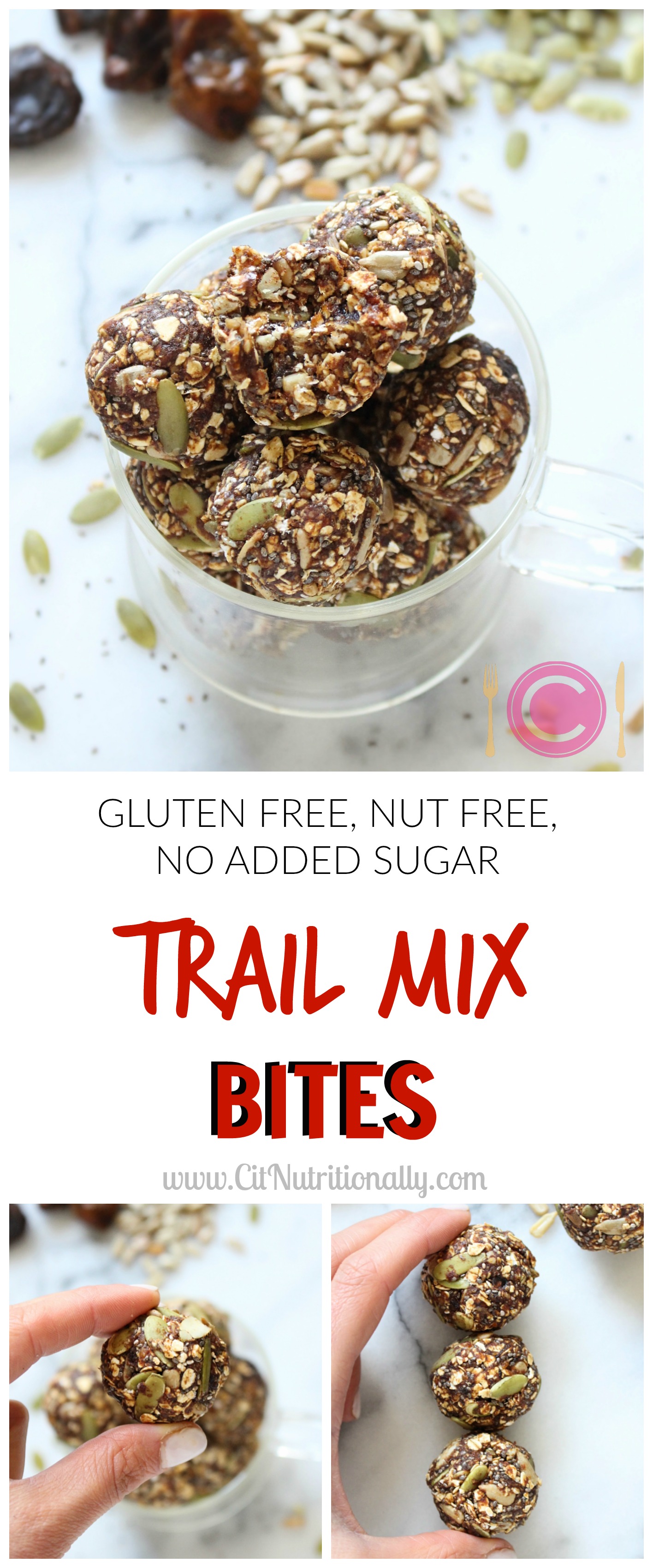 Trail Mix Energy Bites - C it Nutritionally